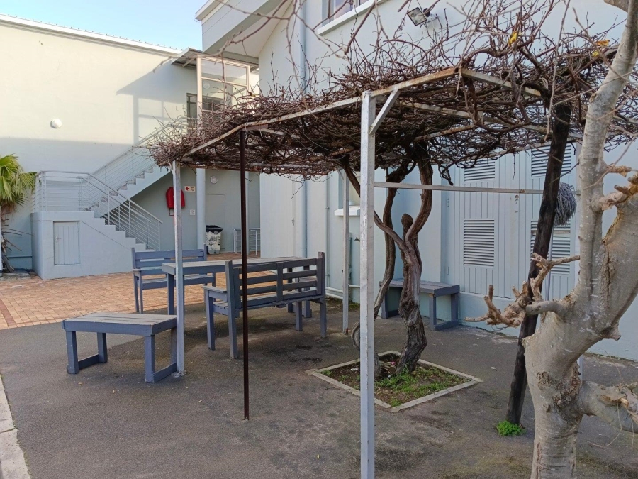 To Let commercial Property for Rent in Diep River Western Cape